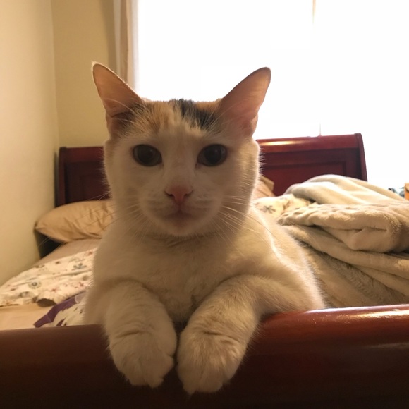 Meet your Posher, Flor - Picture 2 of 3